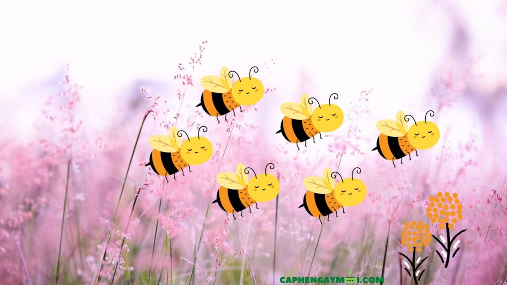 banner can nhat